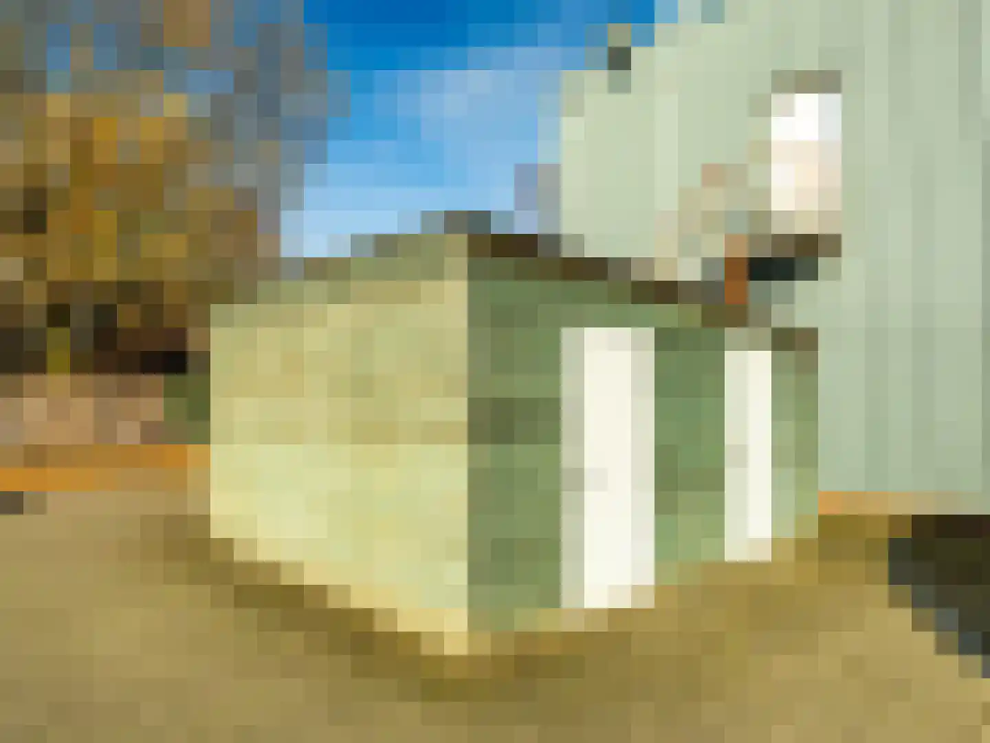 Coldenhovenseweg 10 A Eerbeek thumbnail 21