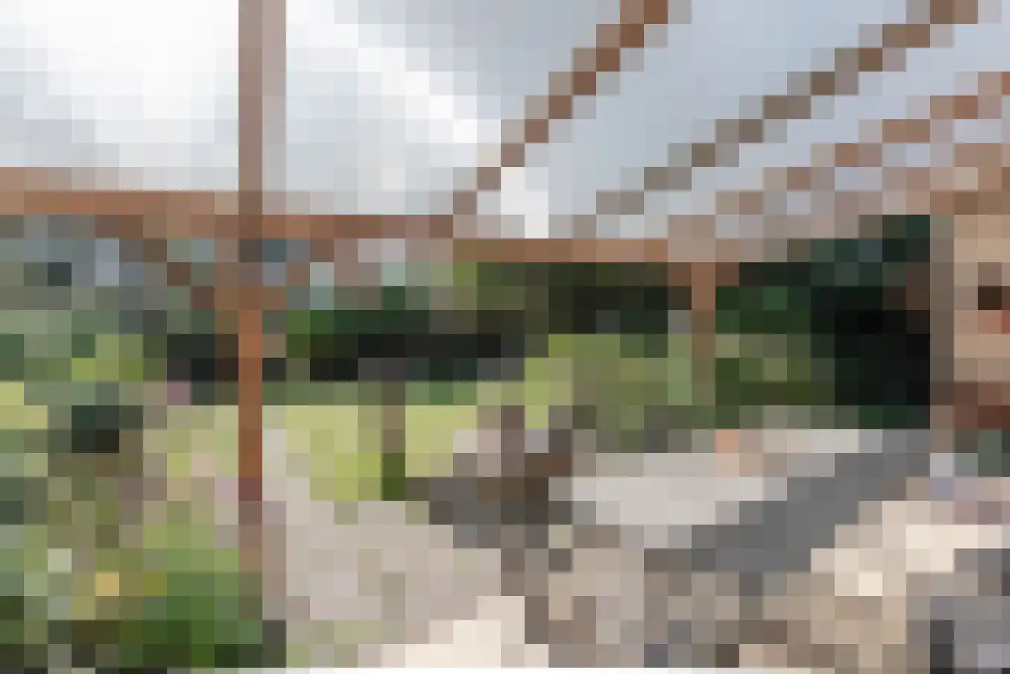 Coldenhovenseweg 100 A Eerbeek thumbnail 14