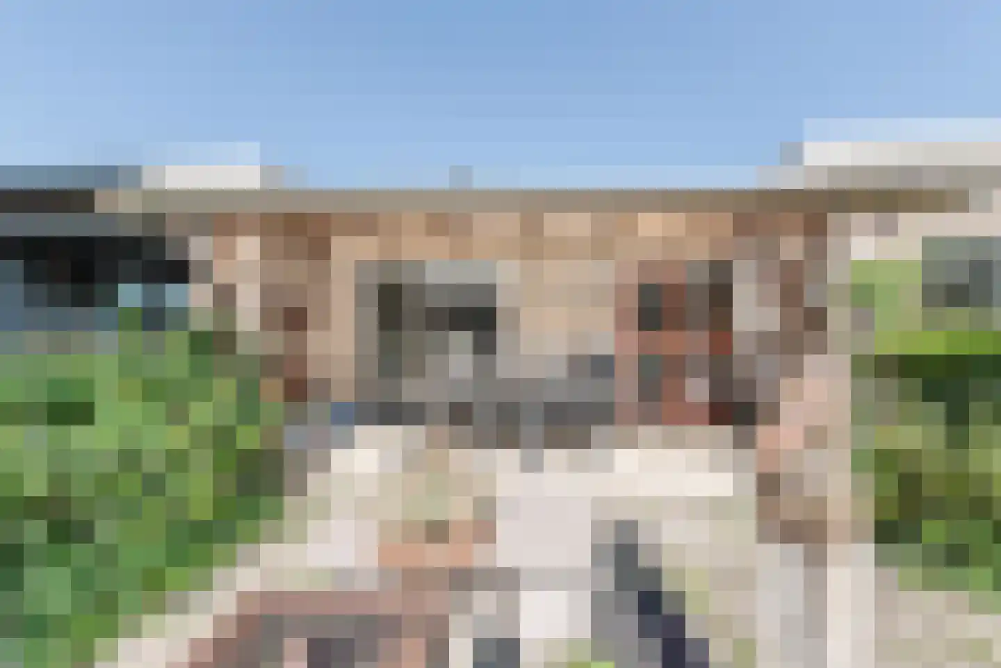 Coldenhovenseweg 100 A Eerbeek thumbnail 15