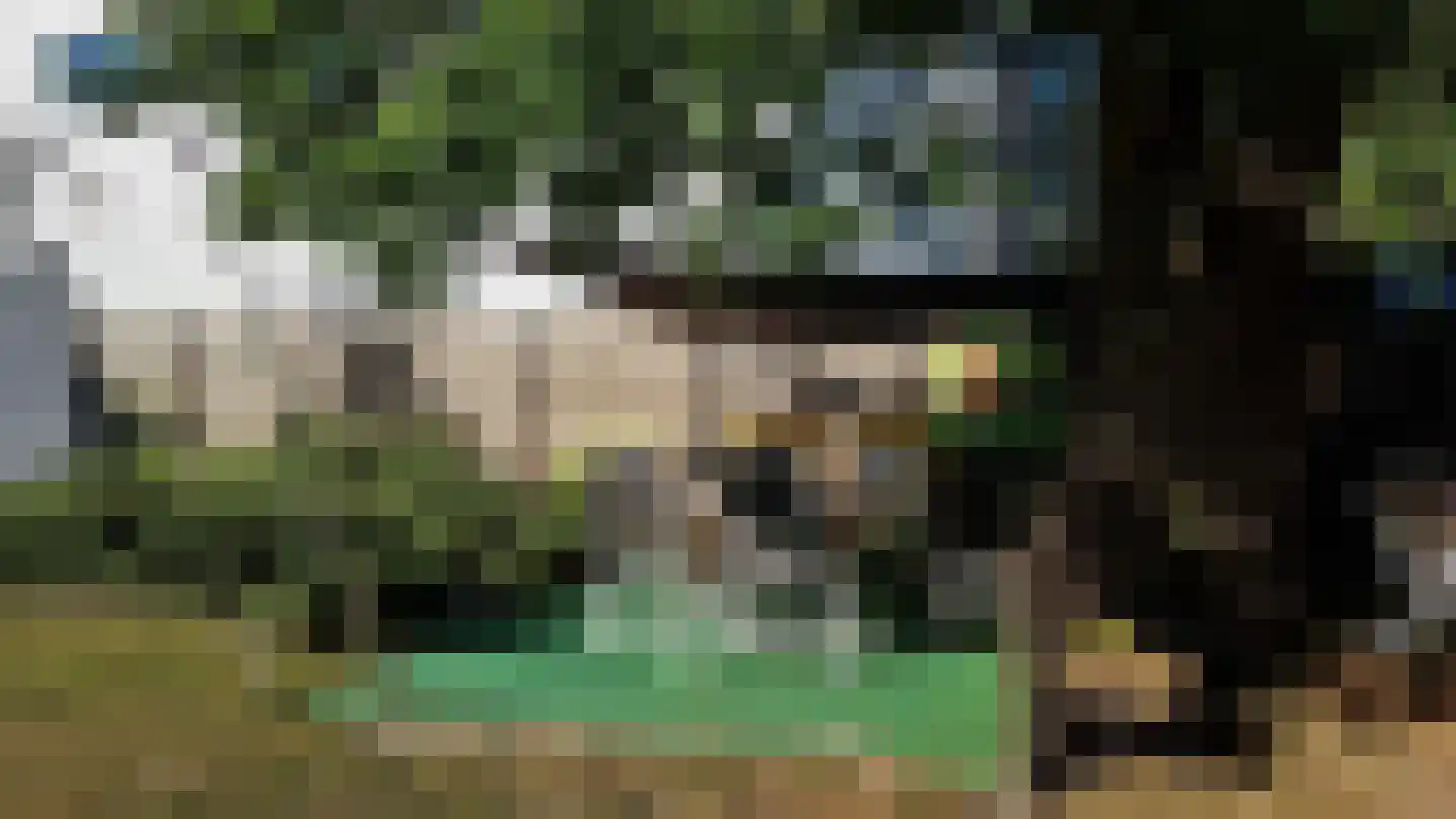 Coldenhovenseweg 100 A Eerbeek thumbnail 18