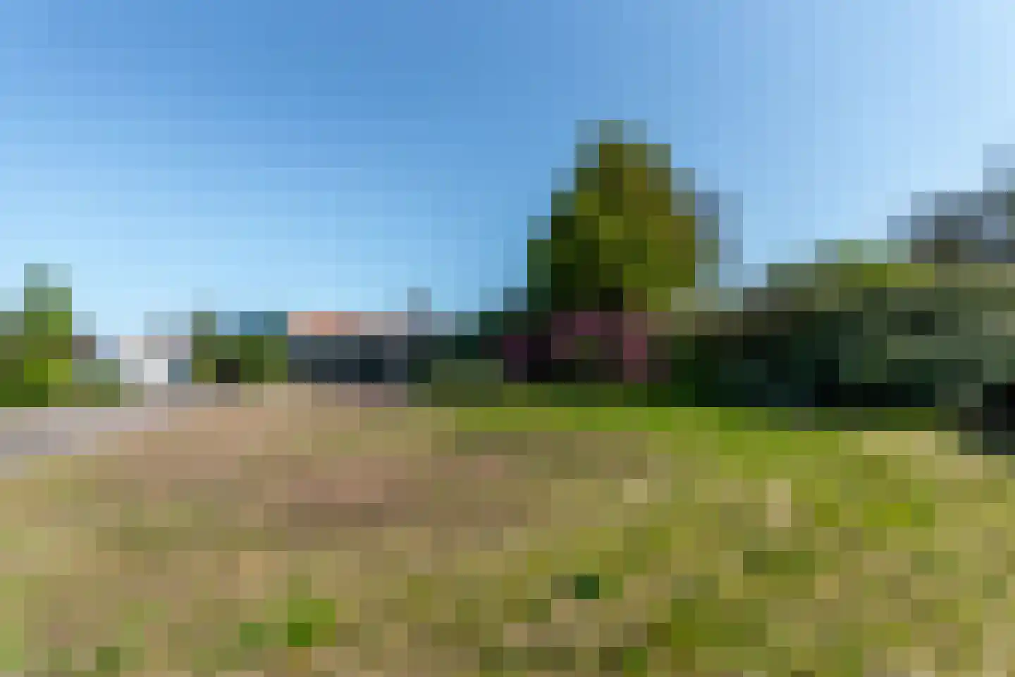 Coldenhovenseweg 100 A Eerbeek thumbnail 20