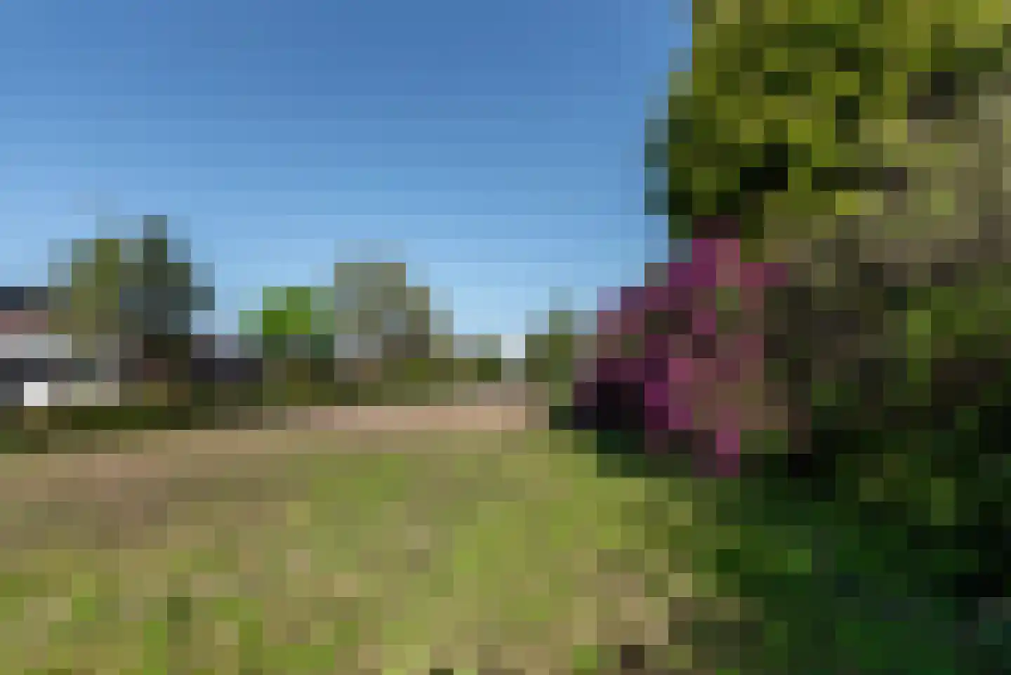Coldenhovenseweg 100 A Eerbeek thumbnail 21