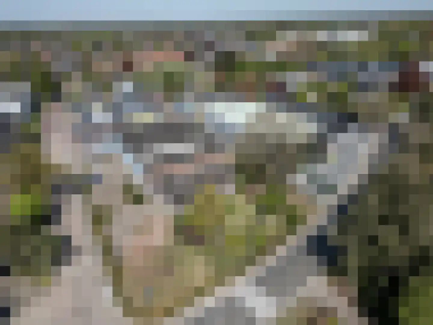 Coldenhovenseweg 100 A Eerbeek thumbnail 27