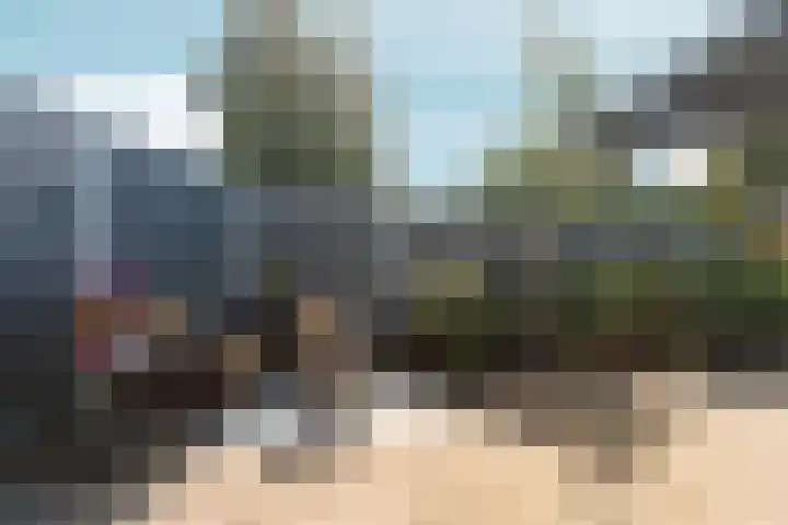 Coldenhovenseweg 45 Eerbeek thumbnail 35