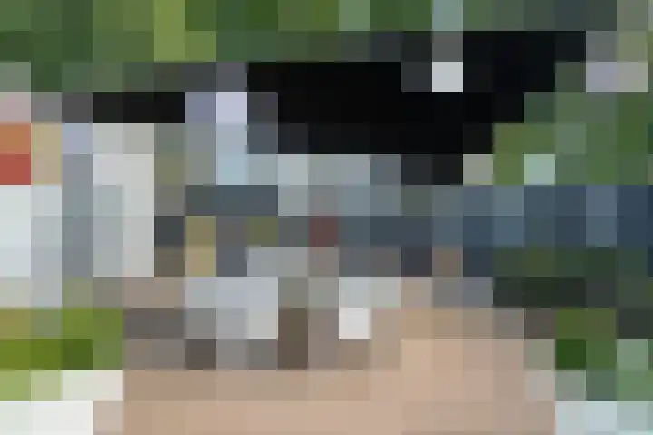 Coldenhovenseweg 45 Eerbeek thumbnail 4
