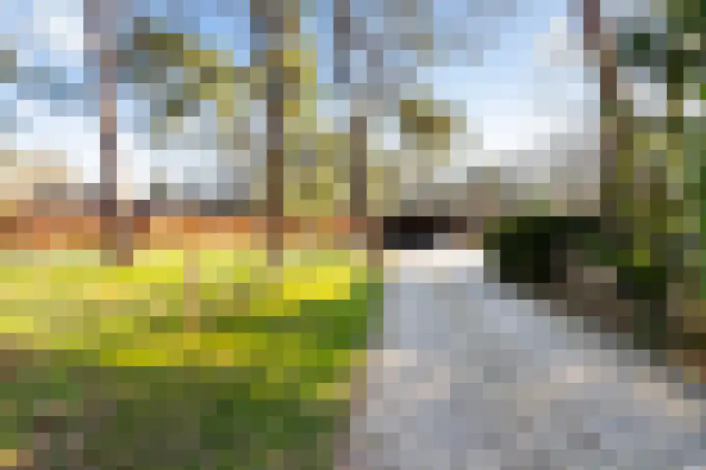 Coldenhovenseweg 91 Eerbeek thumbnail 54