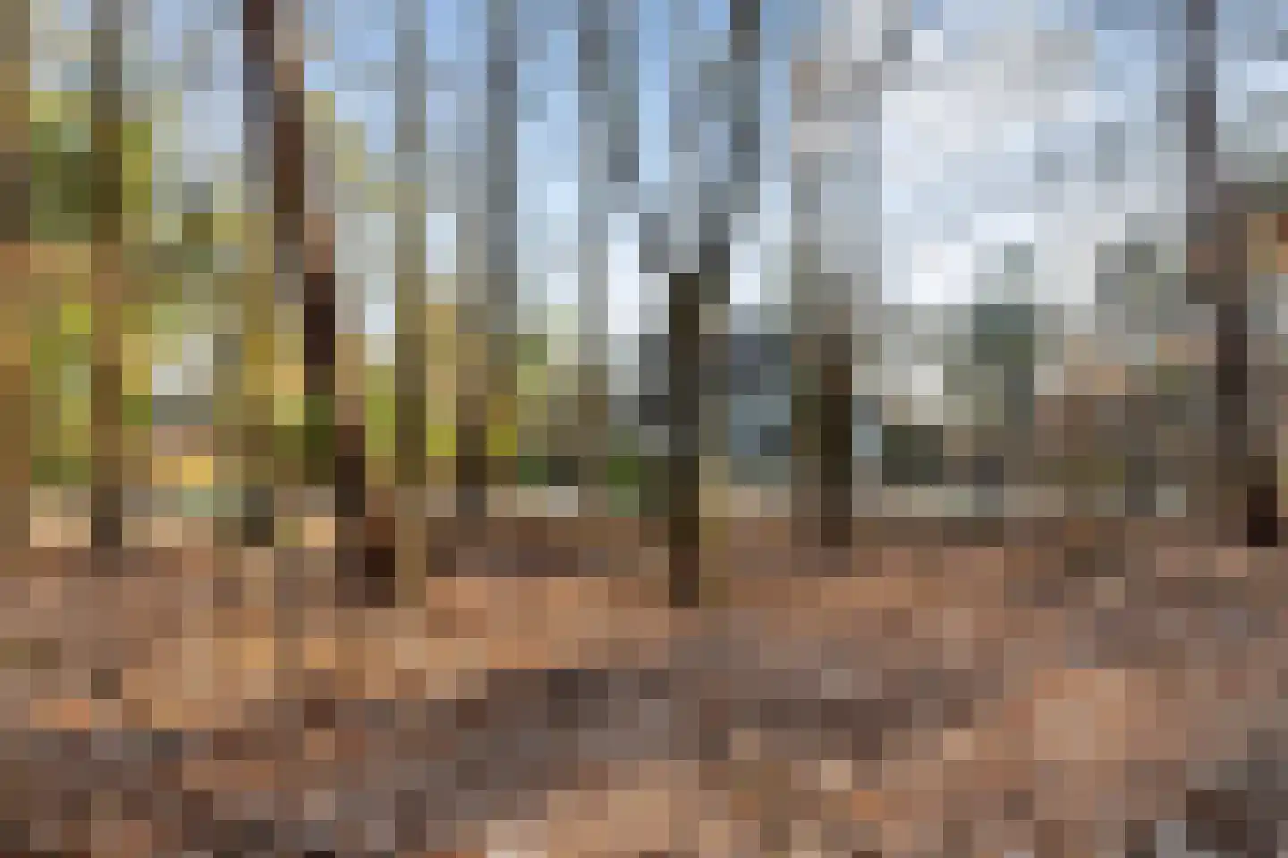 Coldenhovenseweg 91 Eerbeek thumbnail 6