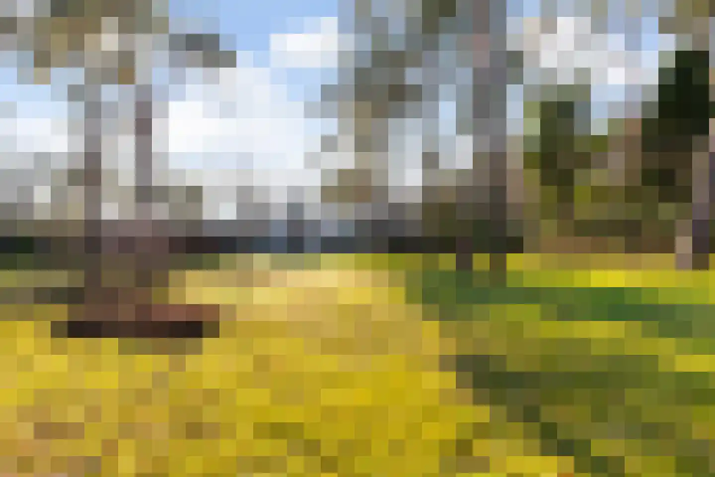 Coldenhovenseweg 91 Eerbeek thumbnail 61