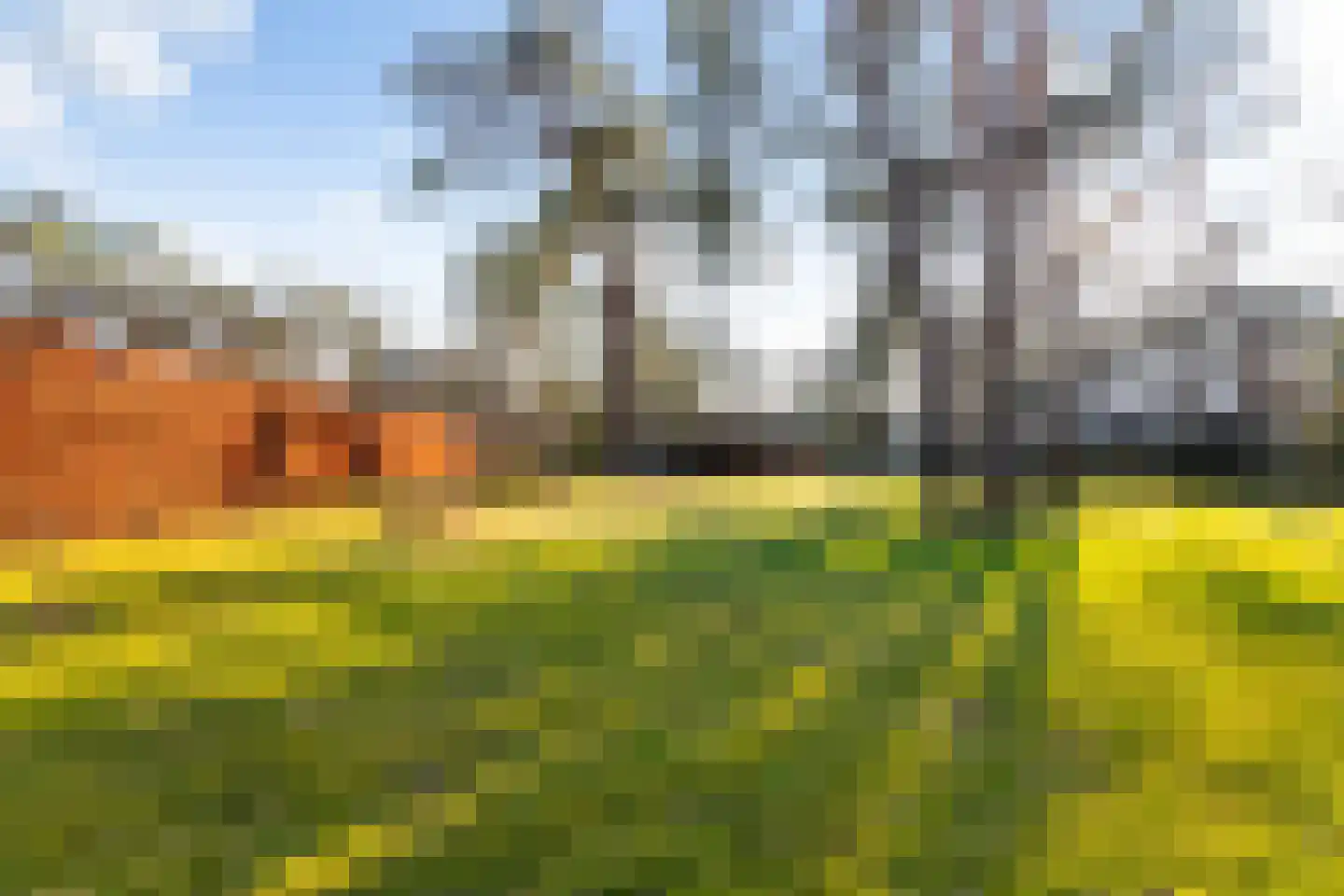Coldenhovenseweg 91 Eerbeek thumbnail 62