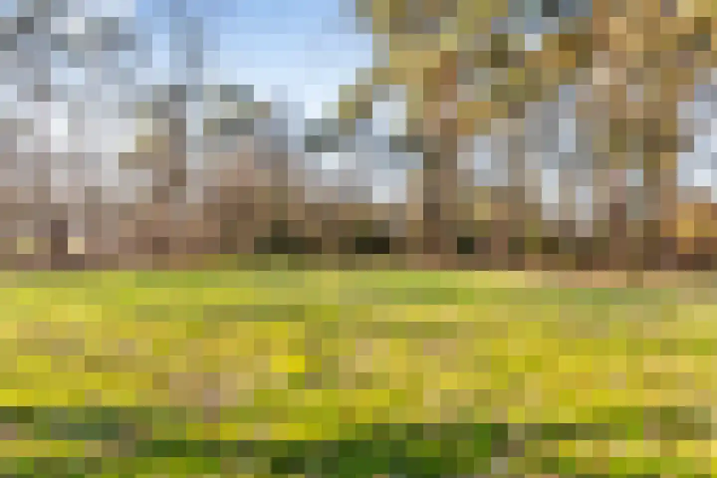 Coldenhovenseweg 91 Eerbeek thumbnail 65