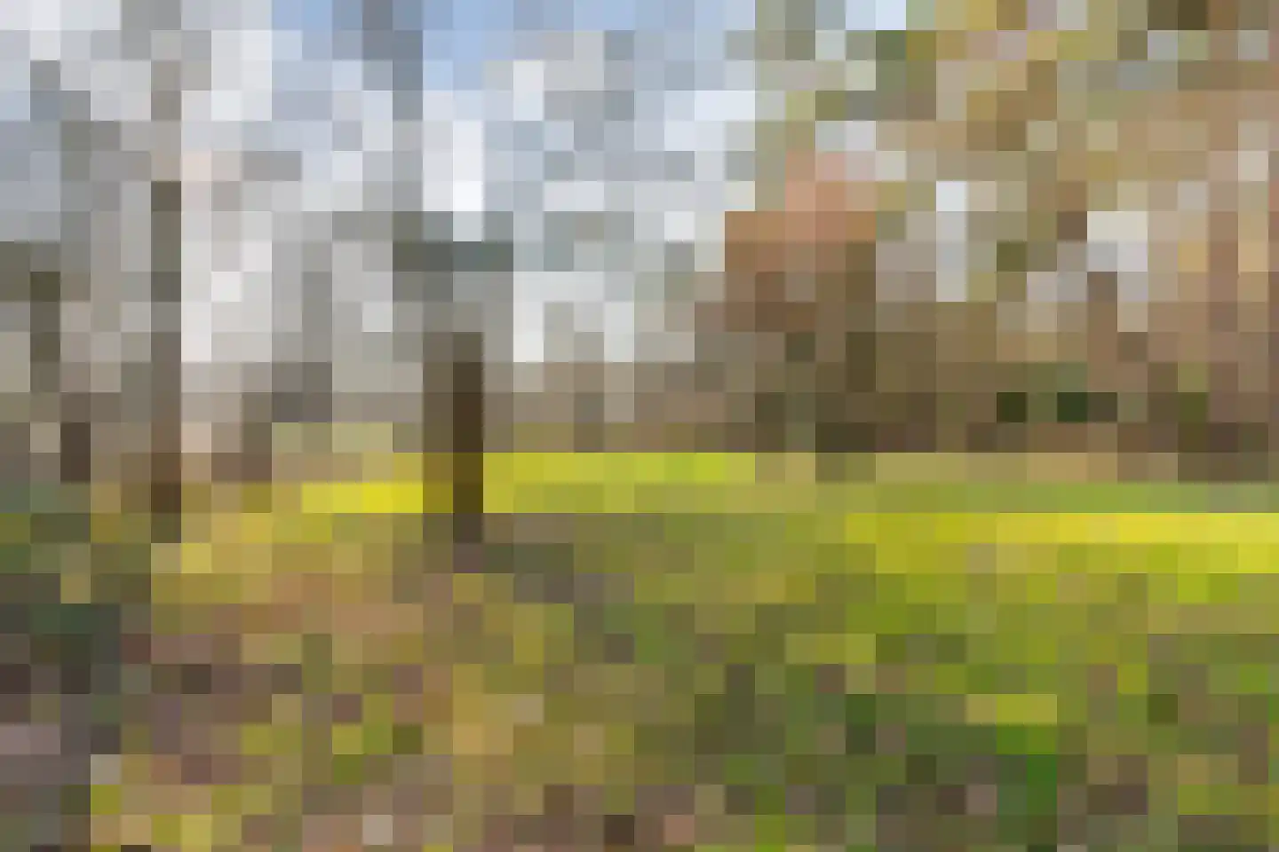 Coldenhovenseweg 91 Eerbeek thumbnail 66