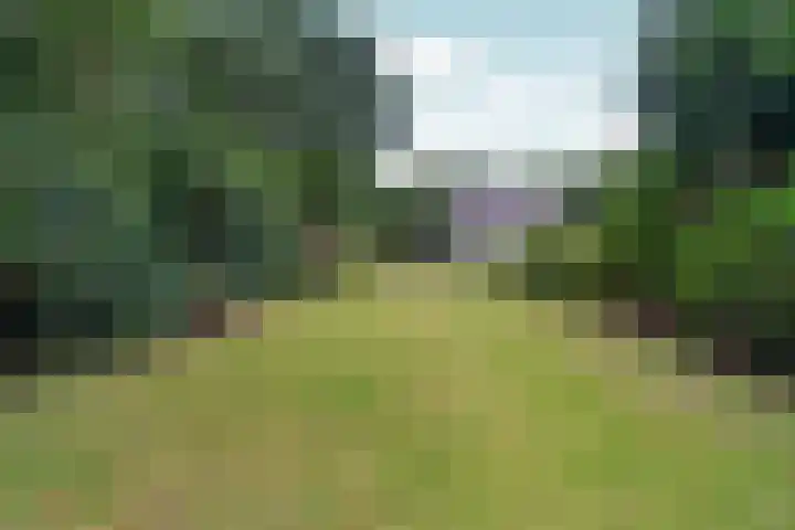 Coldenhovenseweg 93 Eerbeek thumbnail 5