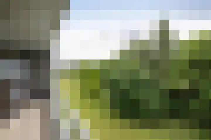 Coldstream 72 Hengelo thumbnail 21