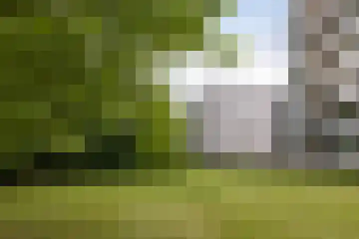 Coldstream 72 Hengelo thumbnail 28