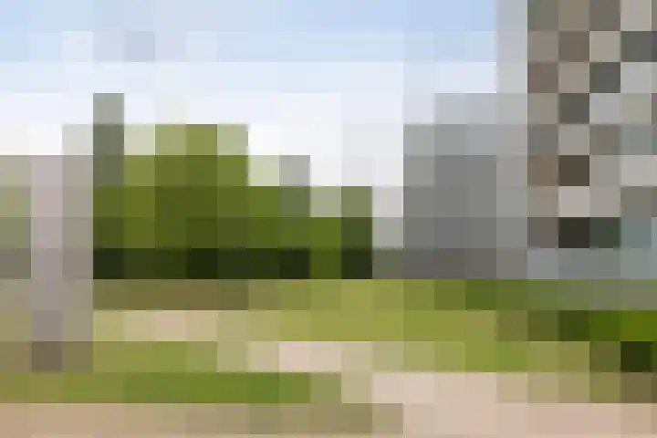 Coldstream 72 Hengelo thumbnail 30