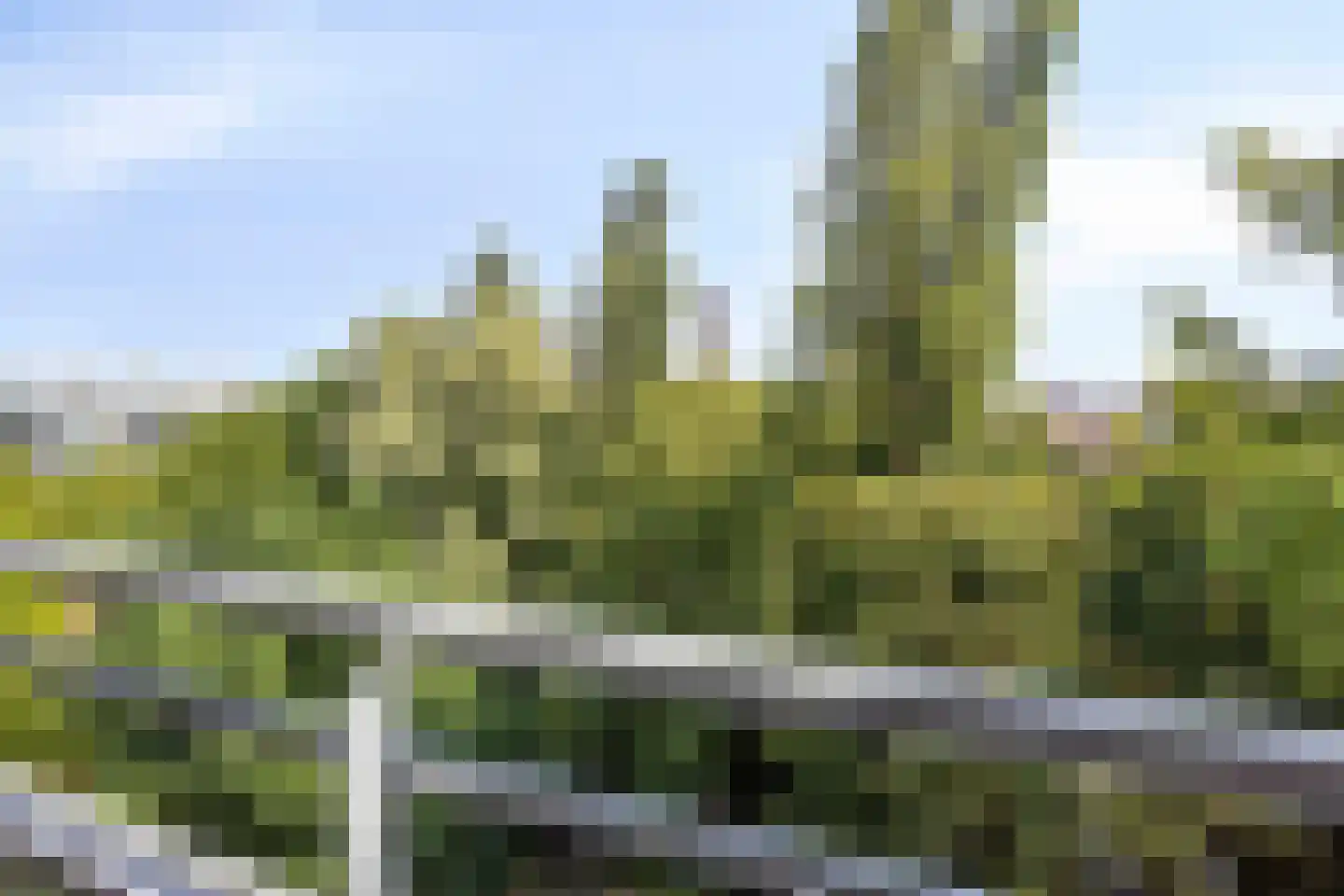 Coldstream 82 Hengelo thumbnail 23