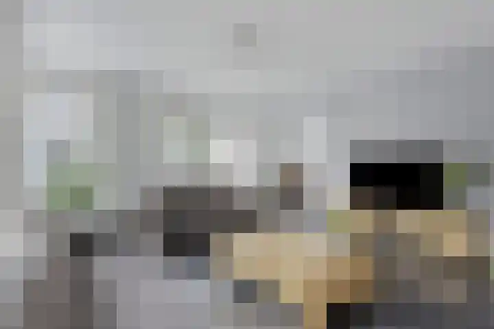 Cole Porterhof 101 Hoorn thumbnail 13