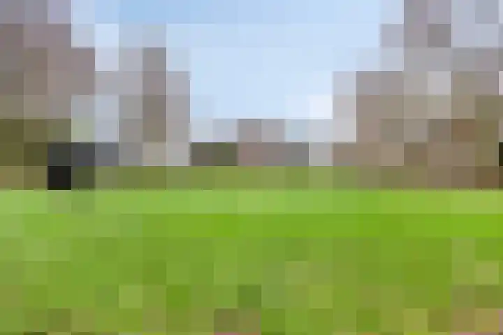 Cole Porterhof 101 Hoorn thumbnail 46