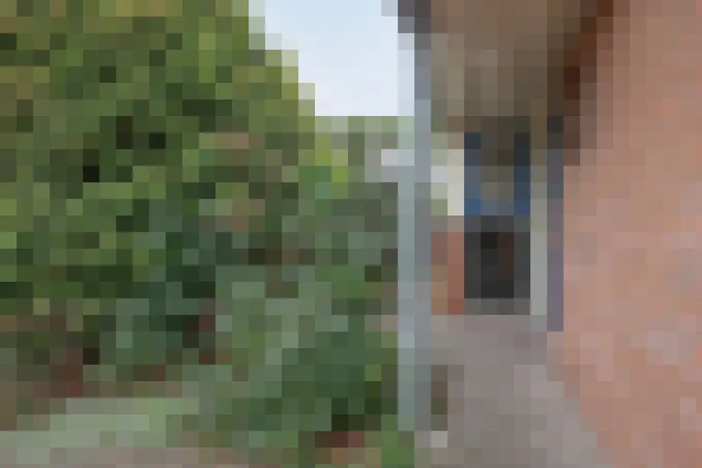 Cole Porterhof 137 Hoorn thumbnail 29
