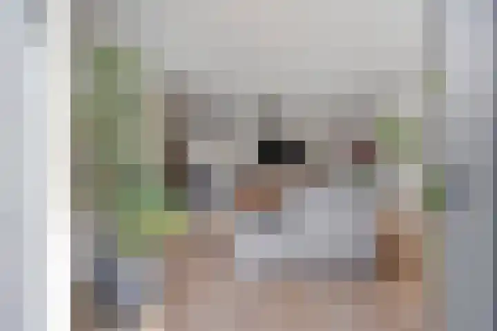 Cole Porterhof 140 Hoorn thumbnail 17