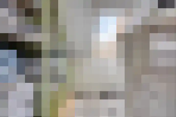 Cole Porterhof 140 Hoorn thumbnail 25