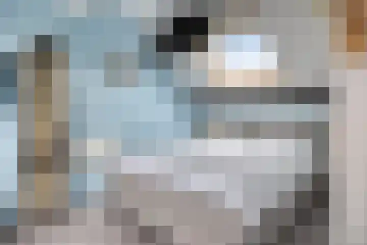 Cole Porterhof 140 Hoorn thumbnail 27