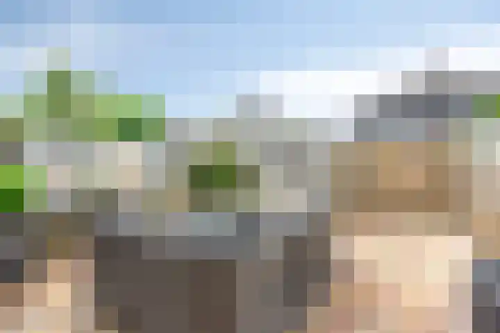 Cole Porterhof 140 Hoorn thumbnail 5