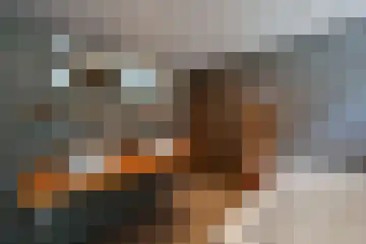 Cole Porterhof 151 Hoorn thumbnail 16
