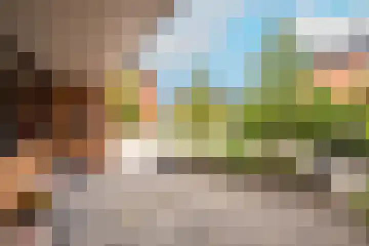 Cole Porterhof 156 Hoorn thumbnail 14