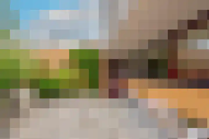 Cole Porterhof 156 Hoorn thumbnail 15