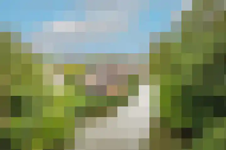 Cole Porterhof 156 Hoorn thumbnail 8