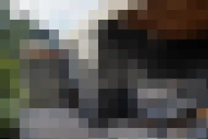 Cole Porterhof 16 Hoorn thumbnail 21