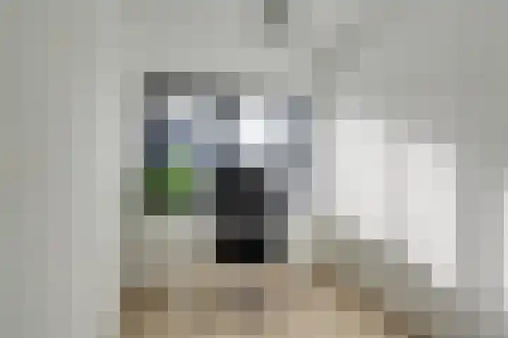 Cole Porterhof 16 Hoorn thumbnail 25
