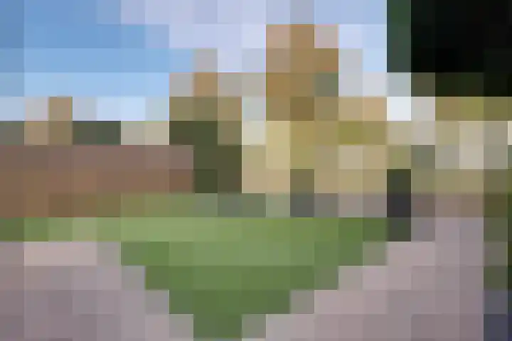 Cole Porterhof 16 Hoorn thumbnail 47