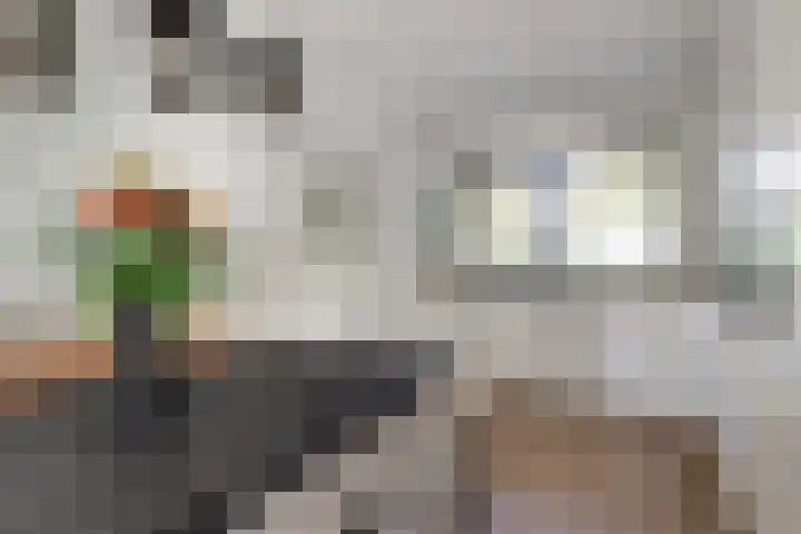 Cole Porterhof 16 Hoorn thumbnail 8