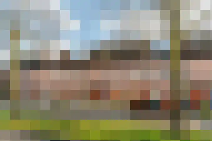 Cole Porterhof 24 Hoorn thumbnail 32