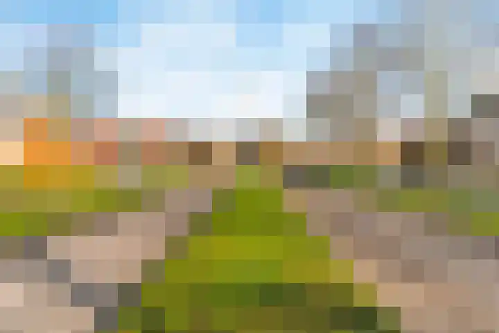 Cole Porterhof 24 Hoorn thumbnail 33