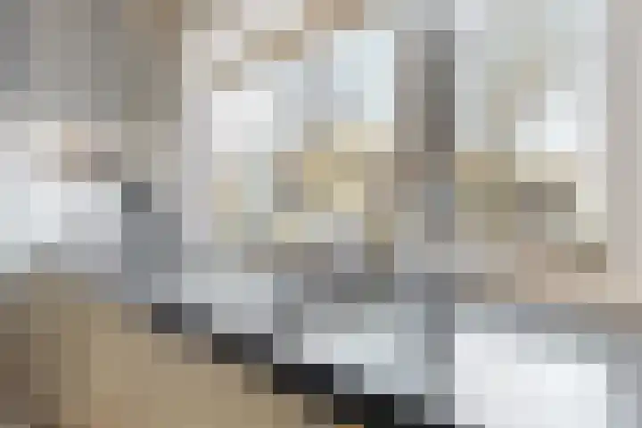 Cole Porterhof 24 Hoorn thumbnail 9