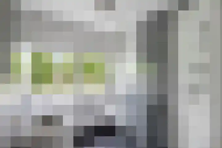 Cole Porterhof 8 Hoorn thumbnail 17
