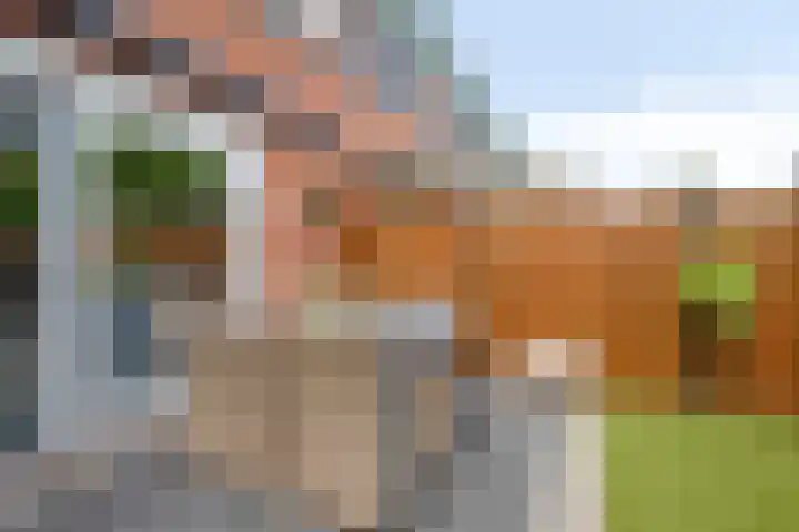 Cole Porterhof 8 Hoorn thumbnail 26