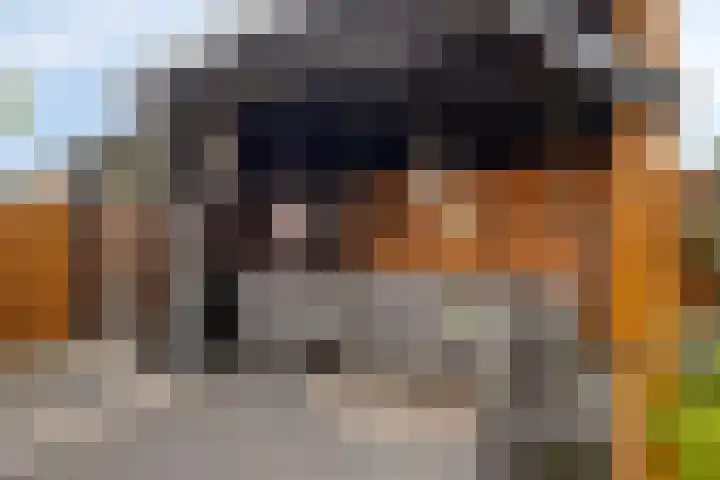 Cole Porterhof 8 Hoorn thumbnail 27
