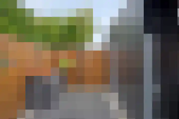 Cole Porterhof 8 Hoorn thumbnail 29