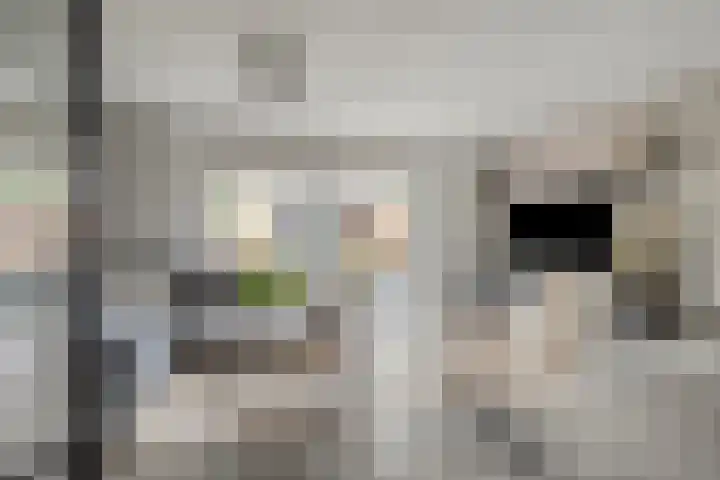Cole Porterhof 8 Hoorn thumbnail 4
