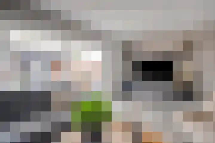 Cole Porterhof 8 Hoorn thumbnail 7