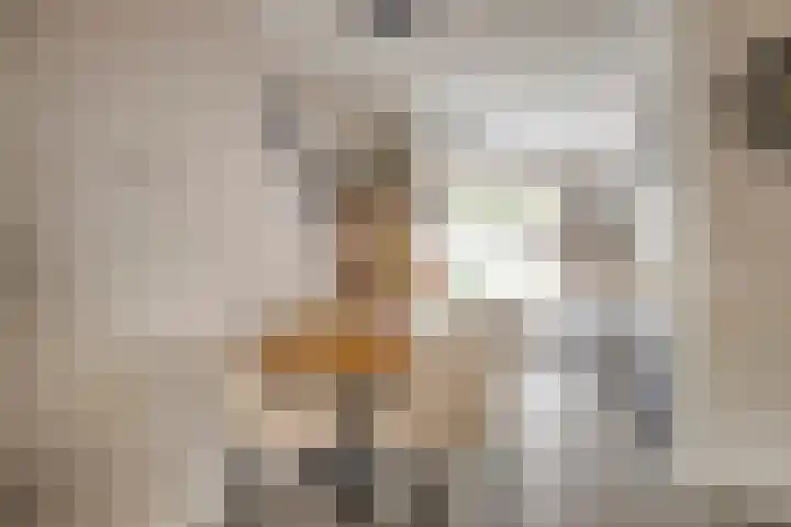 Cole Porterhof 8 Hoorn thumbnail 8