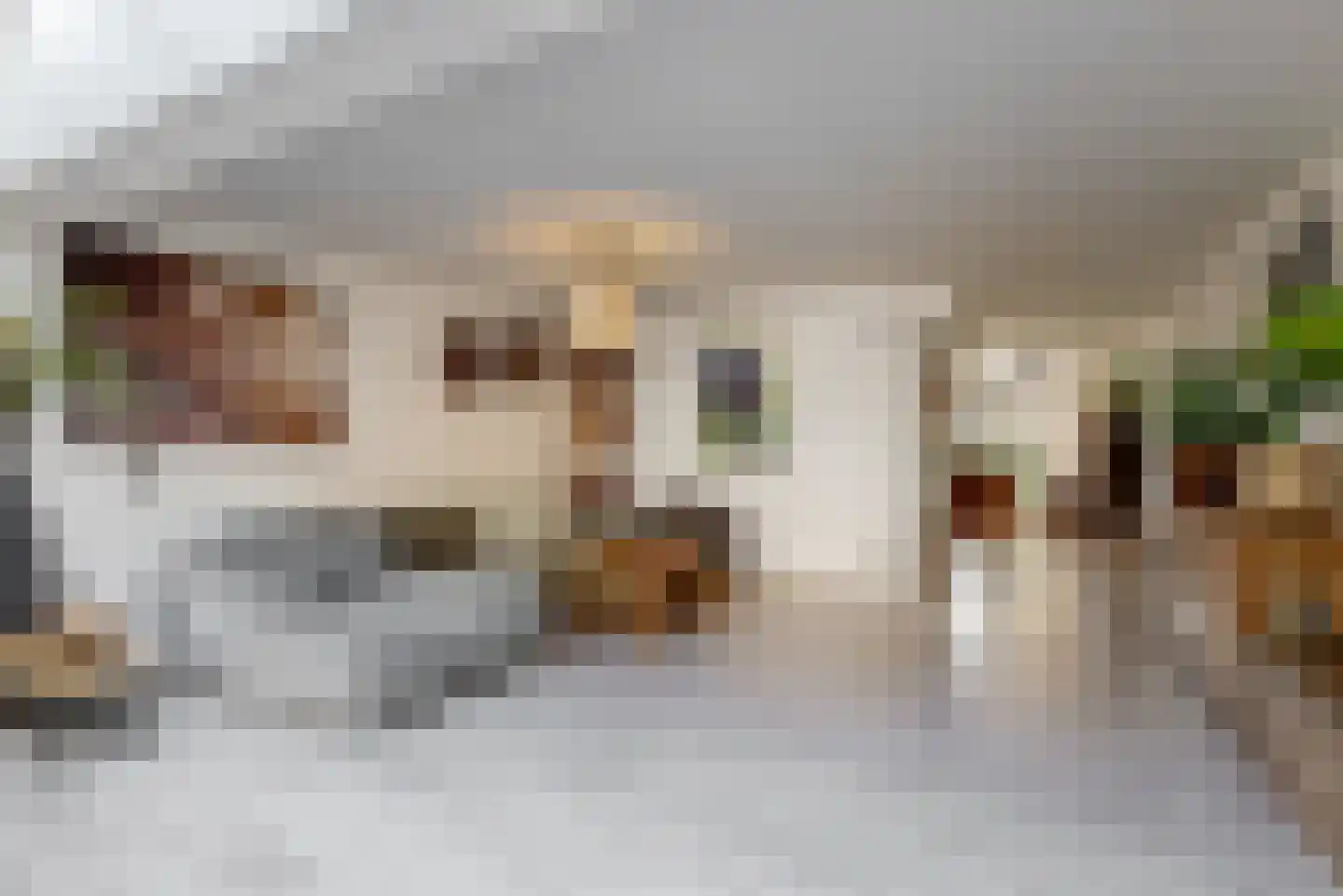 Cole Porterhof 85 Hoorn thumbnail 6