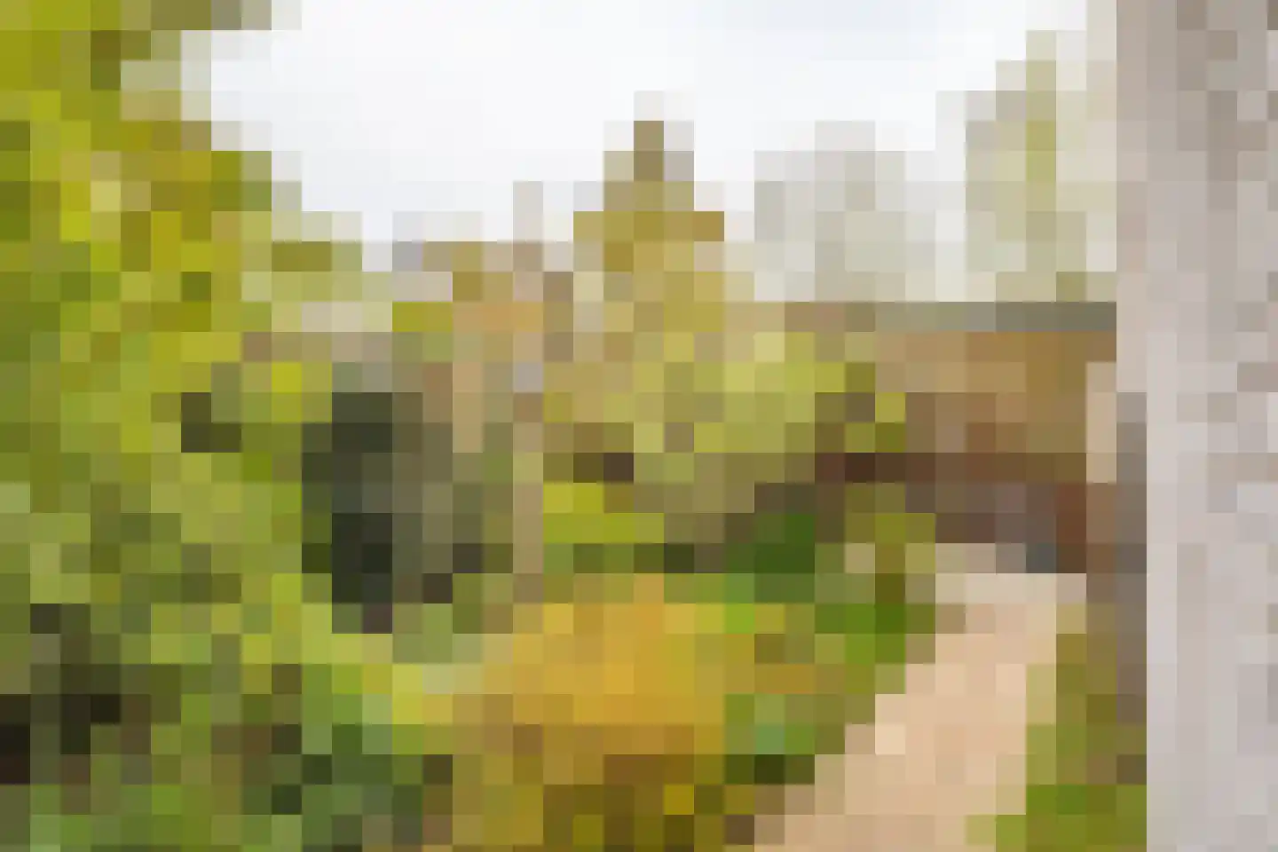 Cole Porterplantsoen 1 Utrecht thumbnail 46