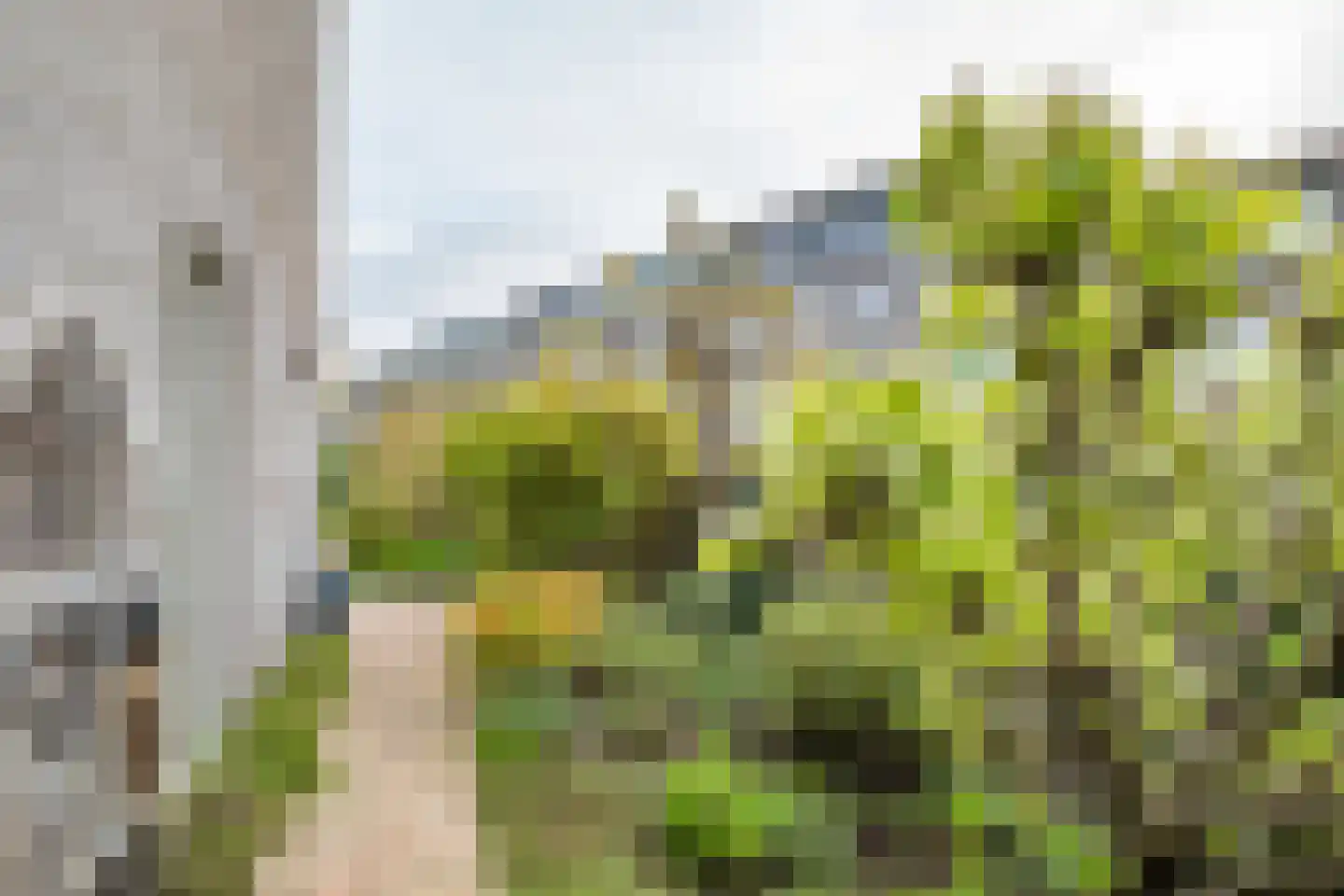 Cole Porterplantsoen 1 Utrecht thumbnail 47