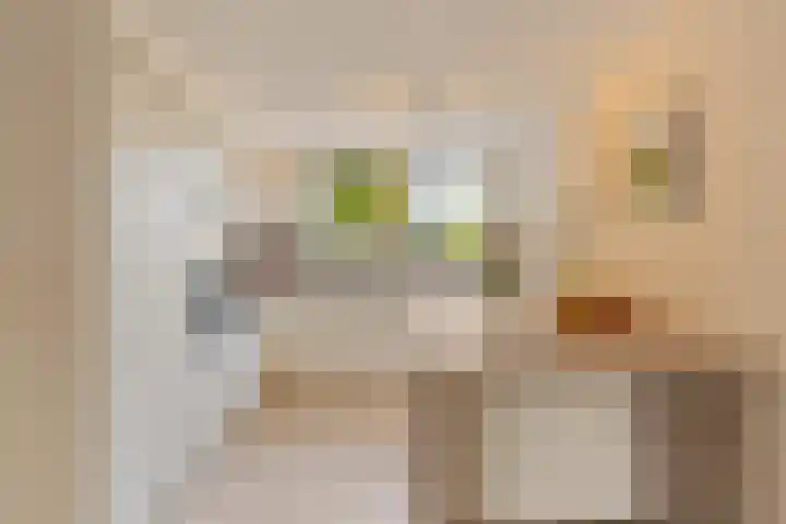 Cole Porterstraat 200 Rotterdam thumbnail 11