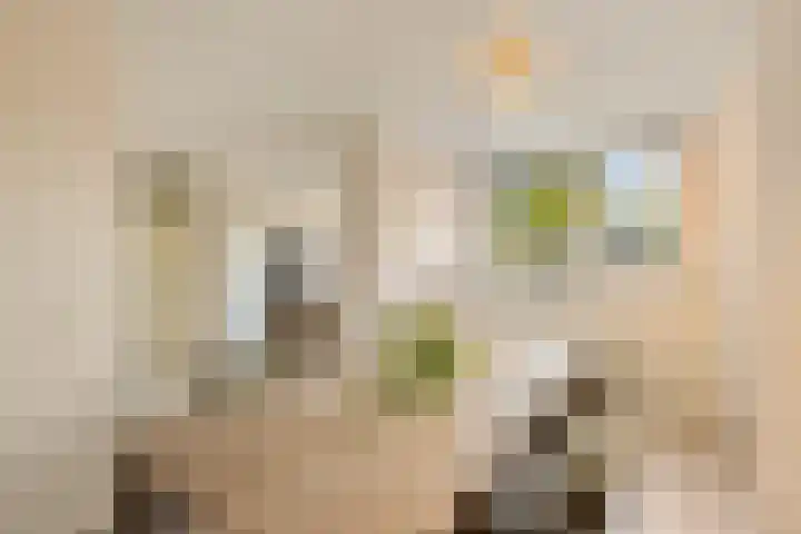 Cole Porterstraat 200 Rotterdam thumbnail 12